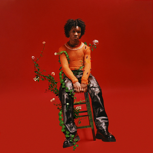 美国摘花助攻出血
