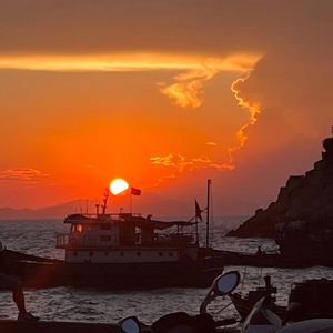 美国摘花助攻出血
