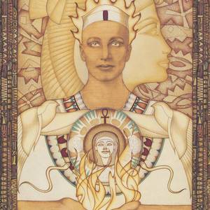 美国摘花助攻出血
