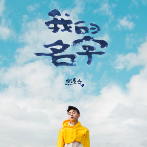 美国摘花助攻出血
