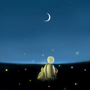 美国摘花助攻出血
