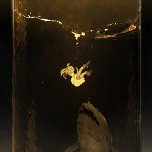 美国摘花助攻出血
